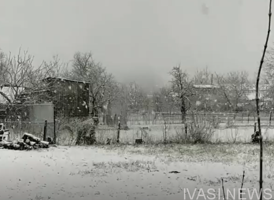 снег в Кодыме