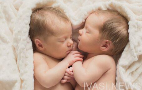 фото новорожденных близнецов