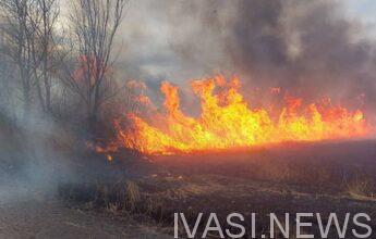 В Одесской области горит национальный парк