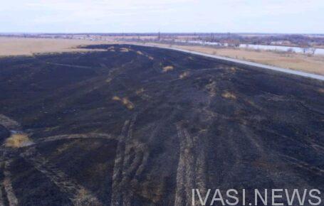 Пожар в Нижнеднестровском нацпарке уничтожил около 800 га растительности