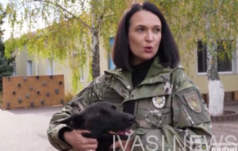 собаки реабилитация полиция Одесса