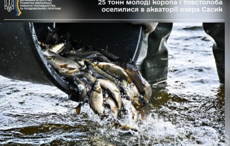 риба сасик зариблення мальок Одеська область озеро
