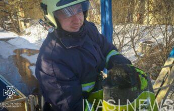 собака прорубь ополонка ГСЧС ДСНС рятувальники спасатели Одещина Одесская область село Плоске