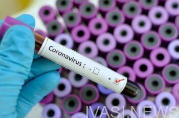 вирус Дженни вірус Дженні коронавірус коронавирус